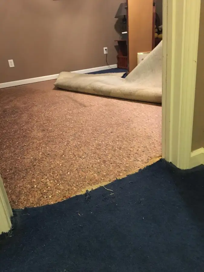 Carpet pad removal revealing water damage during Drying & Dehumidification in Tampa