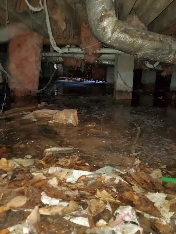 Crawl space flood assessment for Commercial Water Damage Restoration in Tampa