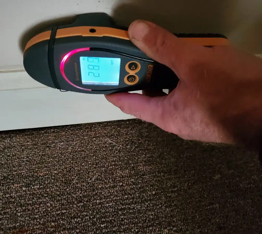 Moisture detection at baseboard during Mold Inspection & Testing in Tampa